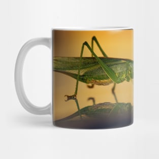 grasshopper, macro Mug